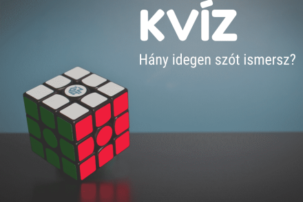 Kvíz: Mennyire vagy az idegen szavak mestere?