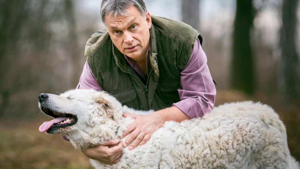 orban viktor kutyaja allatvedelem allatok vilagnapja