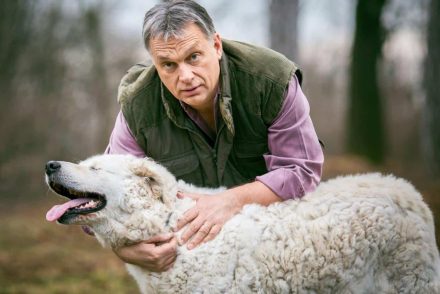 Orbán Viktor az állatok védelmére hívta fel a figyelmet