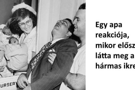 15 fotó arról, hogy a szülőséghez bizony nem ártanak a kötélidegek