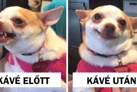 Napi 3-4 csésze kávé még jót is tesz az egészségednek