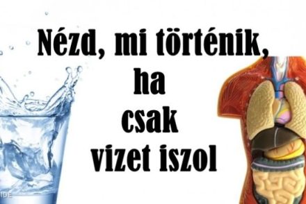 Ez történik, ha semmi mást, kizárólag vizet iszol