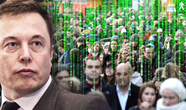 Elon Musk Matrix Elmelet