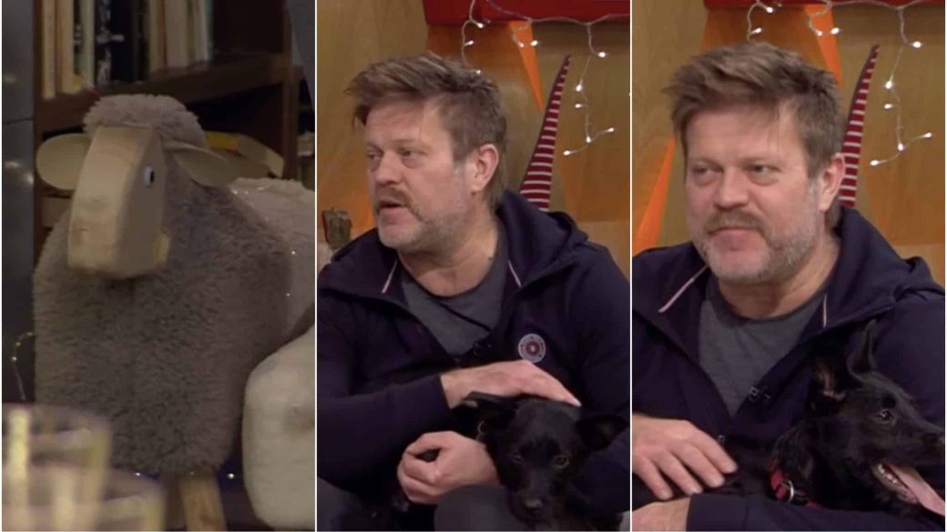 szabo gyozo rezes judit reggeli rtl