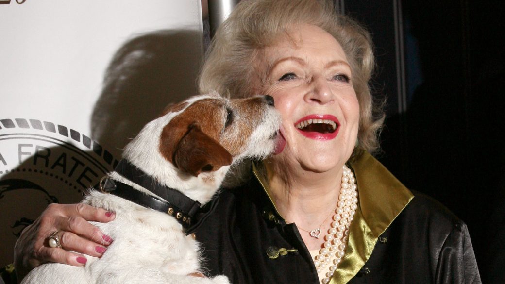betty-white-kihivas-bettywhitechallenge-allatvedelem