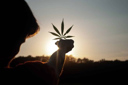 Egy új kutatás szerint a kannabisz megelőzheti a koronavírus-fertőzést