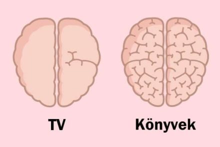 9 elképesztő példa arra, hogyan befolyásoljuk agyunk működését