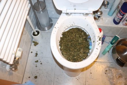 Eldugult a WC, annyi marihuánát akart lehúzni a rendőrök elől egy férfi