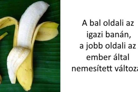 6 ismerős étel, ami egykor teljesen máshogy nézett ki