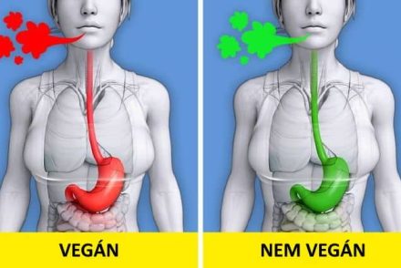 10 dolog, ami a testünkben történik, amikor vegánná válunk