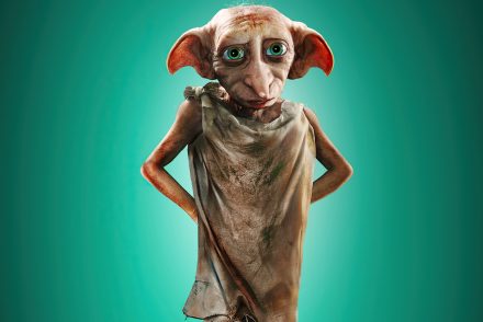 A Harry Potter házimanójáról, Dobbyról nevezték el a chesteri állatkertben született földimalacot