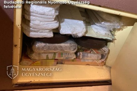 Háziorvos és asszisztense őrizetben, mert hamis papírokat adtak ki és nem oltottak valójában