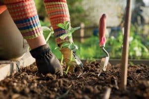 kert kert rendezése egészség friss levegő egészséges életmód