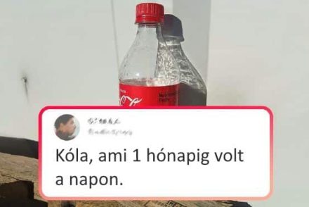 10 fotó olyan emberektől, akik valami lenyűgözőt láttak, és nem tudták megállni, hogy ne mutassák meg mindenkinek
