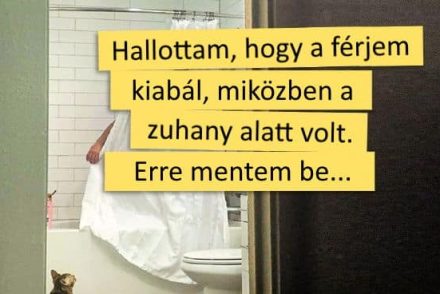 15 állat, aki rosszaságot követett el, de olyan aranyos, hogy lehetetlen haragudni rá