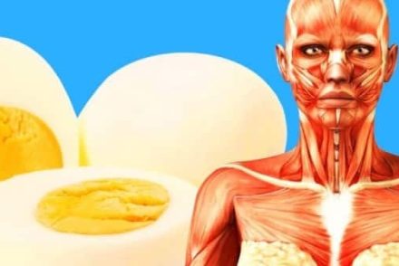 9 dolog, ami a testeddel történik, ha napi 2 tojást megeszel