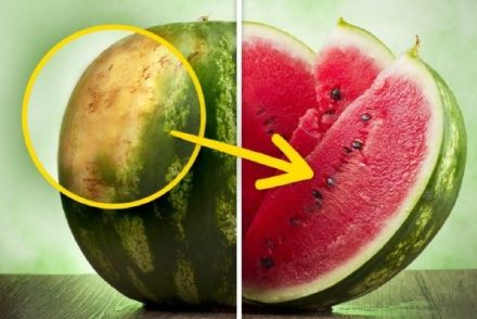 Hogyan válaszd ki a tökéletes görögdinnyét – Tippek egy tapasztalt termesztőtől