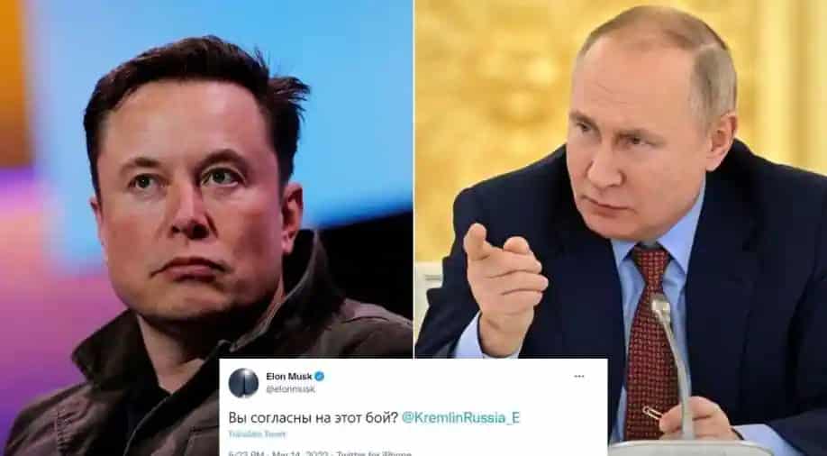 Elon-Musk-Vlagyimir-Putyin-Párbaj-Orosz-Ukrán-Háború