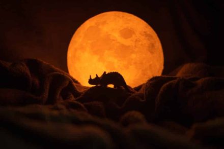 Újfajta dinoszauruszt fedeztek fel Kínában