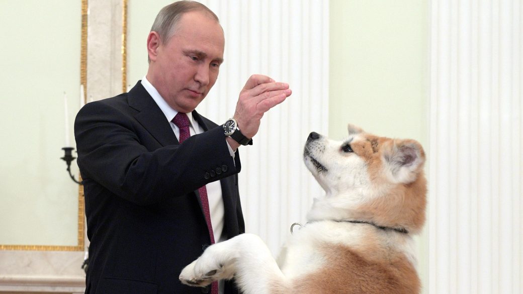 vlagyimir-putyin-kutyai-akita