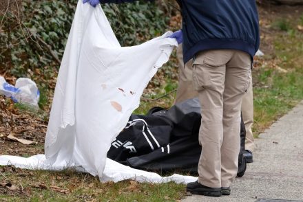 Felkavaró részletek derültek ki: Sporttáskában találták meg a magyar származású nő holttestét New Yorkban