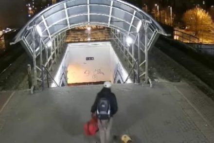 Őrizetbe vették: Egy ukrán menekülteknek nem csak a csomagjait, de kutyáját is ellopták – fotó