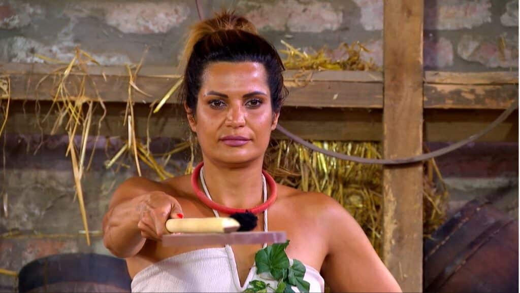 David Petra Psziches Allapota Farm Vip