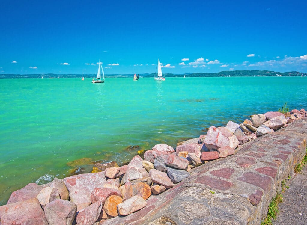 Balaton Viddeo Harcsa Horgaszat