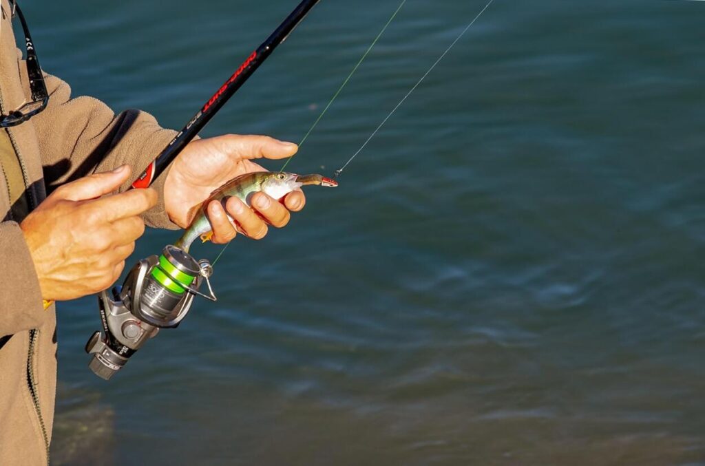 Tacklebait.hu - 2025 Július - Linkmarketing - 2