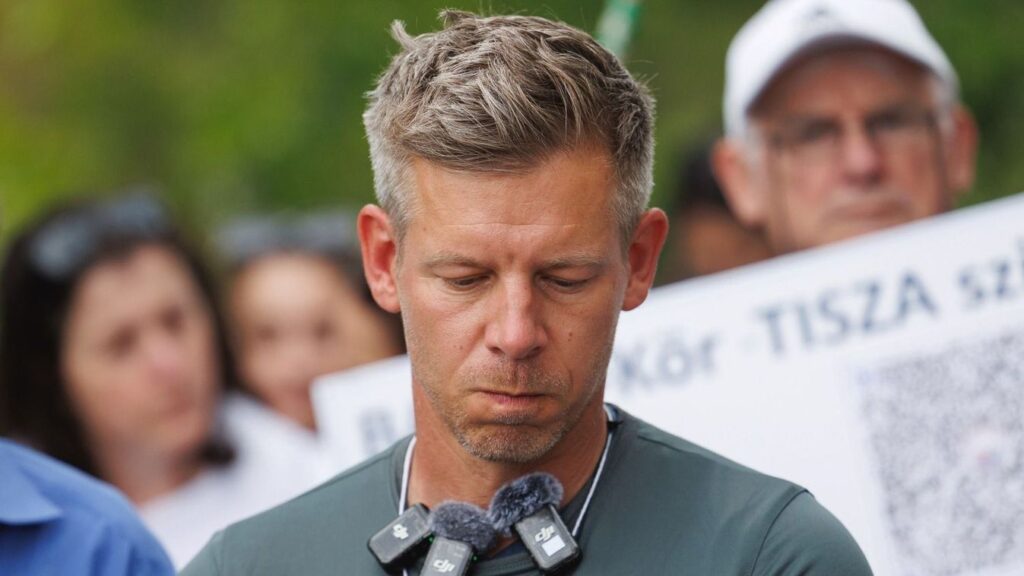 Magyar Peter Nyerges Csenge Testbeszed Elemzes