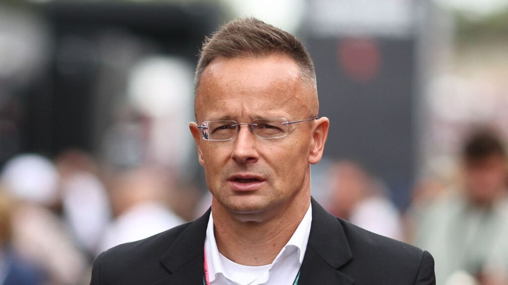 Szijjarto Peter Lengyel Tamas Kritika