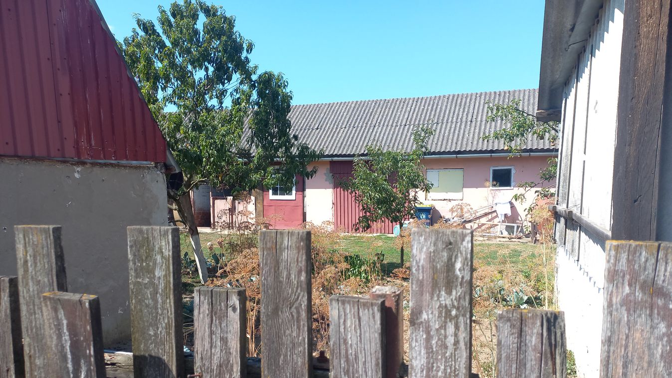 tivadar felgyjtas feleseg