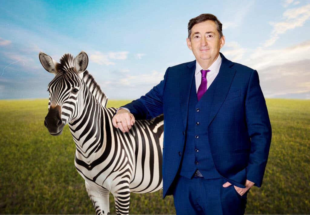 Hatvanpuszta Zebra Hadhazy Akos