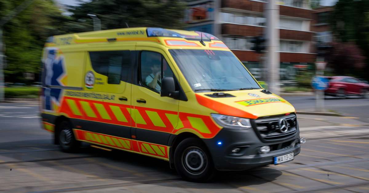 lemondott orszagos mentoszolgalat vezetoje oka lengyel tibor