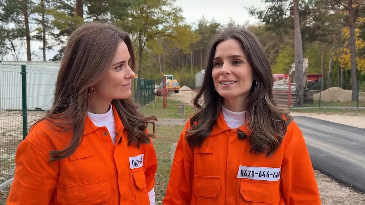 most-wanted-biro-bea-biro-niki