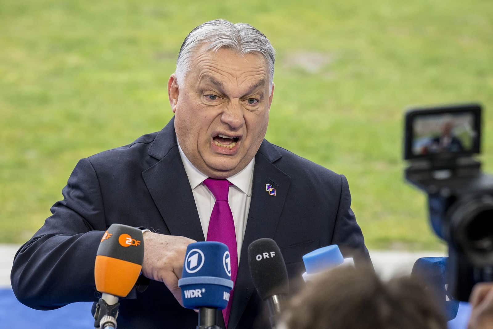 Pde European Democratic Party Orban Viktor