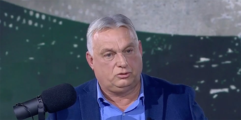Orban Viktor Fidesz Iskolazatlan Szavazo Szikra Dorottya