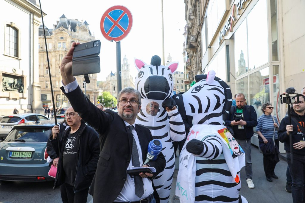 Hadhazy Akos Zebra Hatvanpusztva Nebih