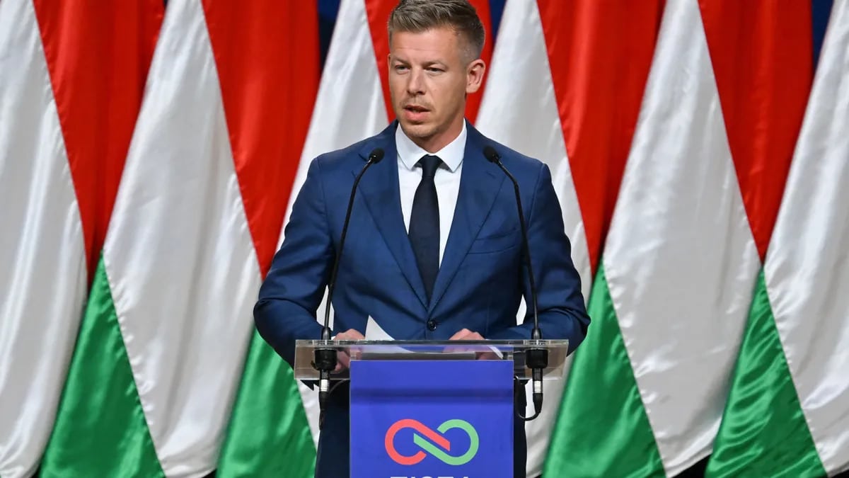Magyar-Peter-Uj-Miniszterelnok-Fiai