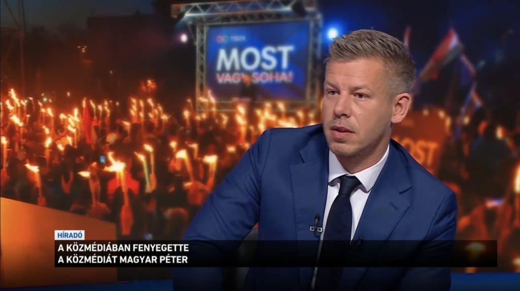 Pitbull-Mtva-Varhegyi-Attila-Kozmedia