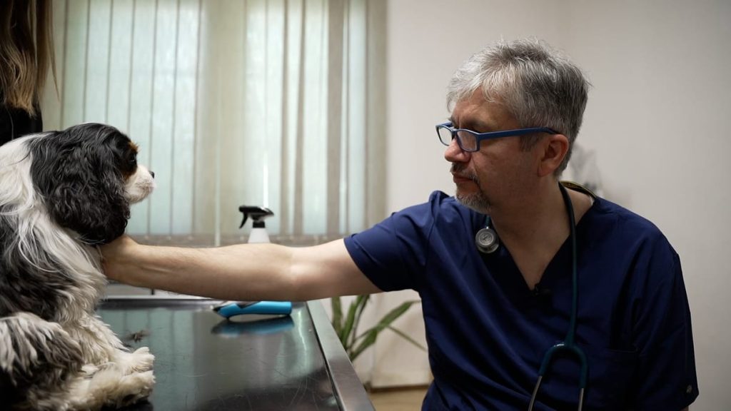 Hadhazy Akos Engem Ne Sajnaljon Senki Allatorvos