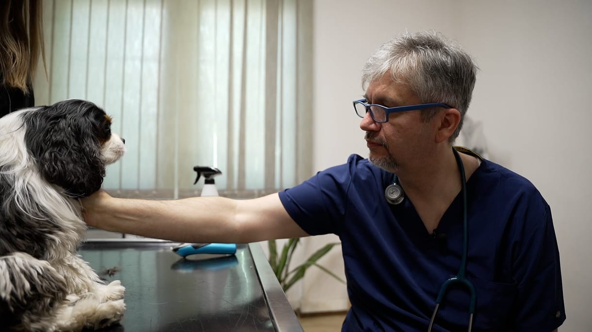 Hadhazy Akos Engem Ne Sajnaljon Senki Allatorvos
