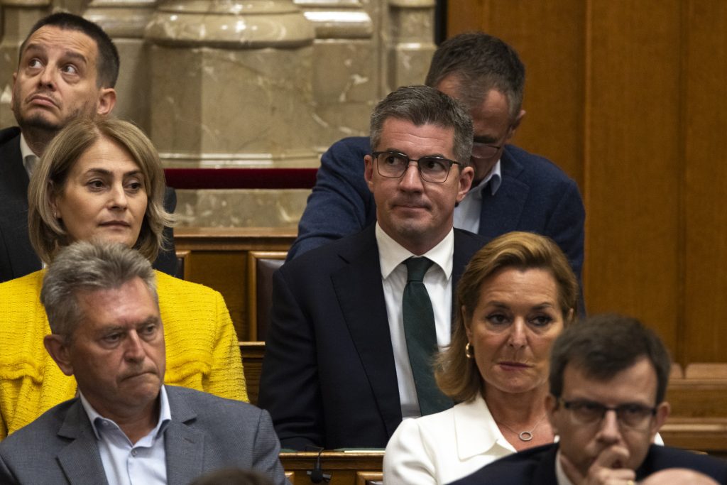 Kocsis Mate Mentelmi Joga Szavazas Parlament