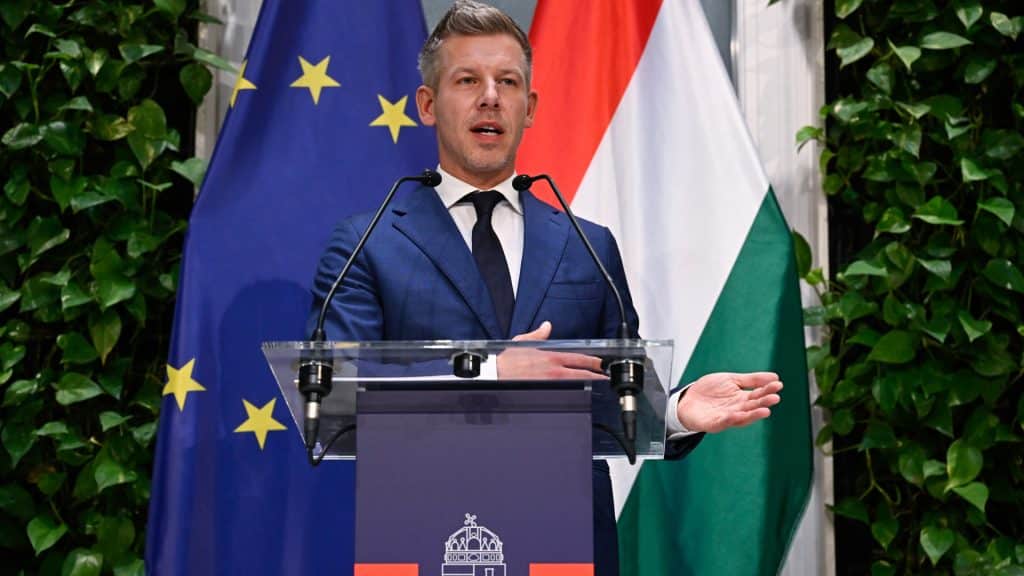 Magyar Peter Kegyelmi Ugy Poszt Varga Judit