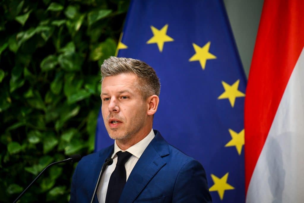 Magyar Peter Nyilvanosan Elerheto Kegyelmi Ugy Dokumentumai