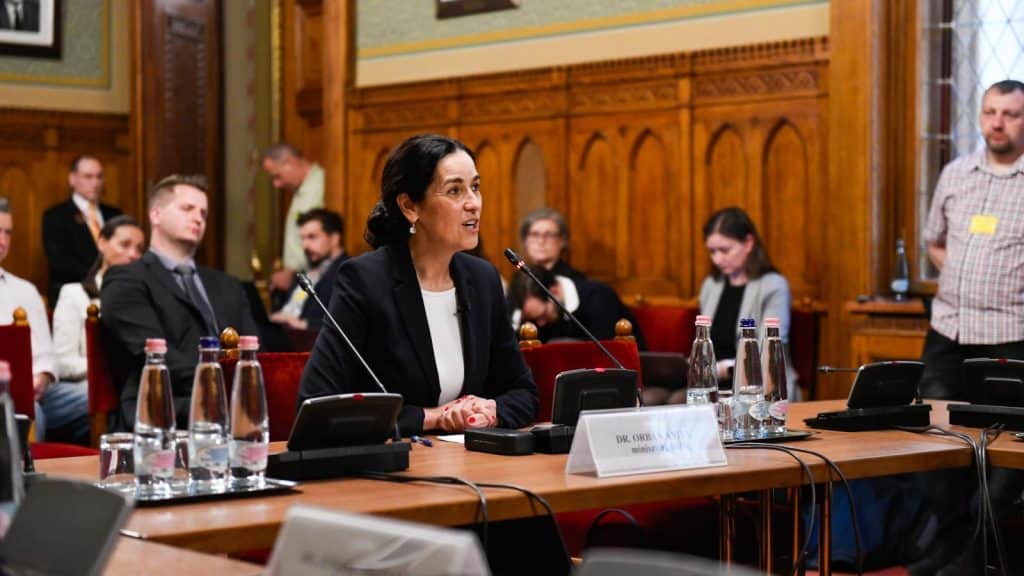 Orban Anita Karpatalja Dron Tamadas Orosz Kulugy