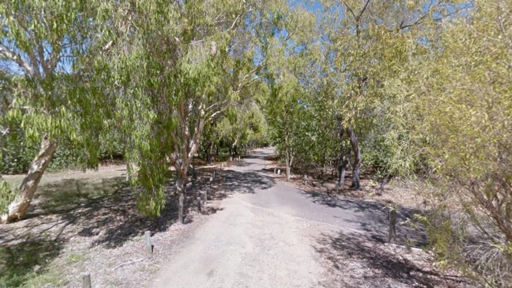 Townsville gyilkossag 17 eves fiu megkinzas