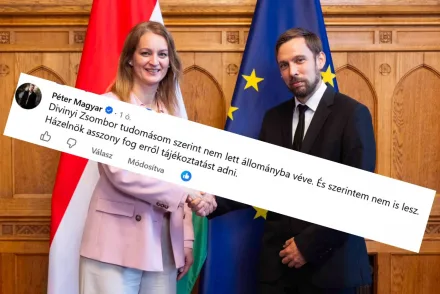 Divinyi Zsombor kinevezése elmaradt, noha 94 pályázó közül jelölték – A revizor és a kinevezés előtti tekintély