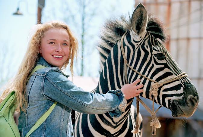 hayden panettiere zebra