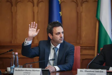 Váratlanul megszólalt Magyar Péter húga: Elmondta, hogy a férje miért szavazott Unger Anna kinevezése ellen